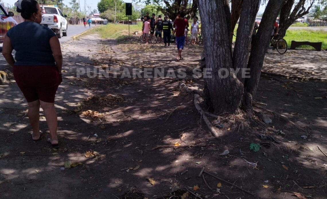 Motociclista colisiona contra caballo y pierde la vida 1 EC3B1C45 5A6C 4758 A82A 947948CE1DC6