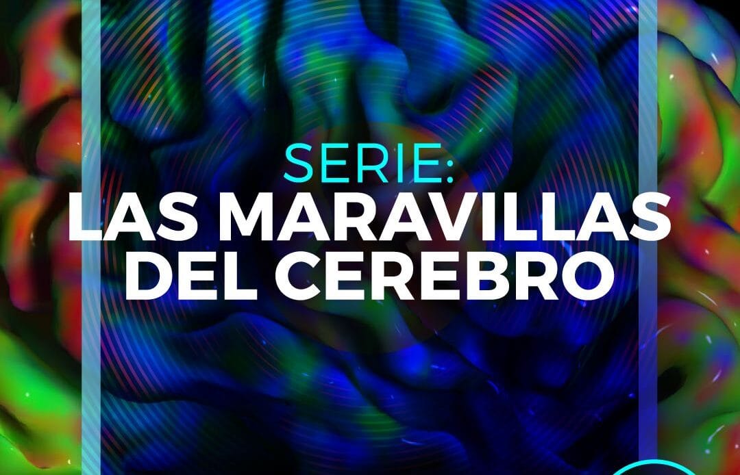 Quince UCR estrena programas de ciencia, tecnología y naturaleza 1 UCRQ TV
