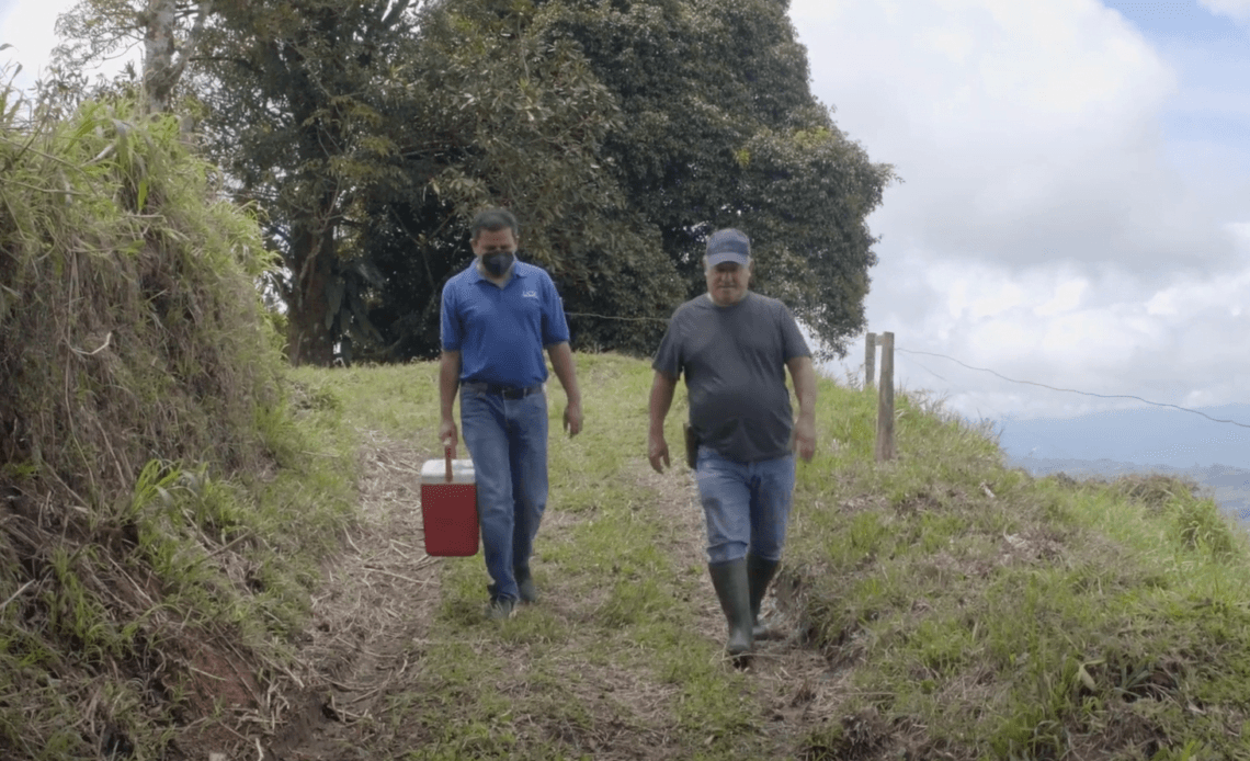 Científicos de la UCR suben montañas para apoyar a productores de queso 1 Foto 1