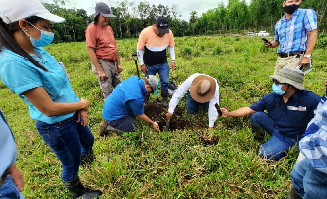 Fincas ganaderas nacionales recarbonizan suelos 1 Image