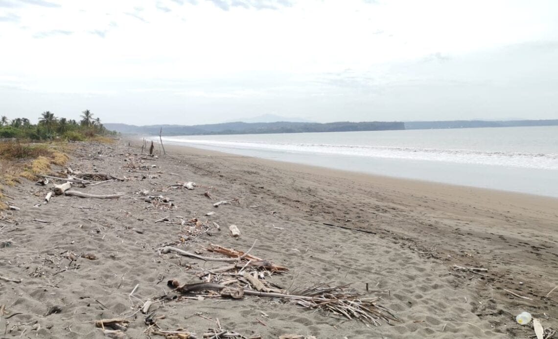 Vecinos encuentran cuerpo en la Playa de Chacarita 1 D4D0622B 391D 44B6 89F9 558AB2BF2BD1
