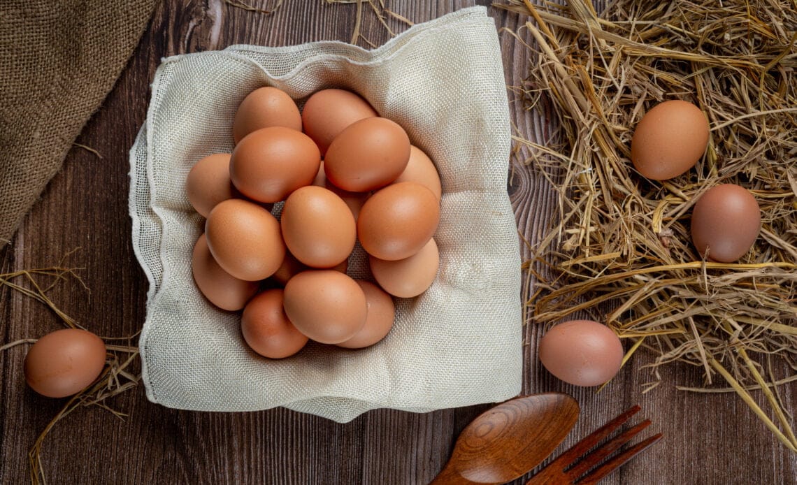 Estudios de CITA/ UCR encontró diferencias entre los huevos convencionales y de pastoreo 1 huevos tazas sobre arpillera pasto seco