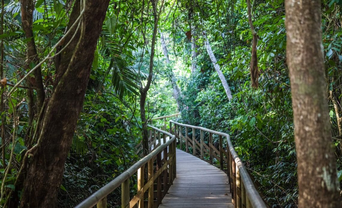 Proyecto de ley busca fortalecer el Parque Nacional Manuel Antonio en Costa Rica 1 694A9717 19CF 4542 802F 9BC238305206