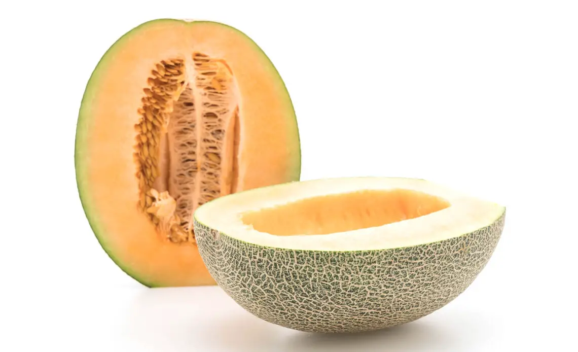 melon cantalupo blanco