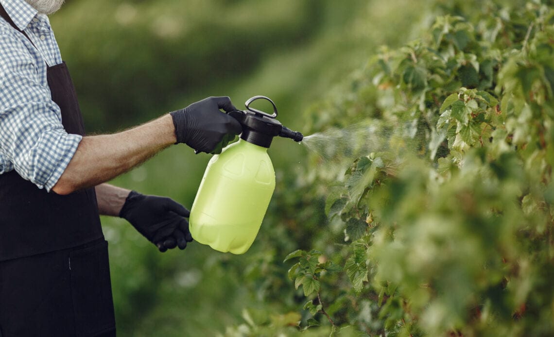 Productores agrícolas cuentan con dos nuevos agroquímicos registrados para uso en campo 1 agricultor rociar verduras jardin herbicidas hombre delantal negro
