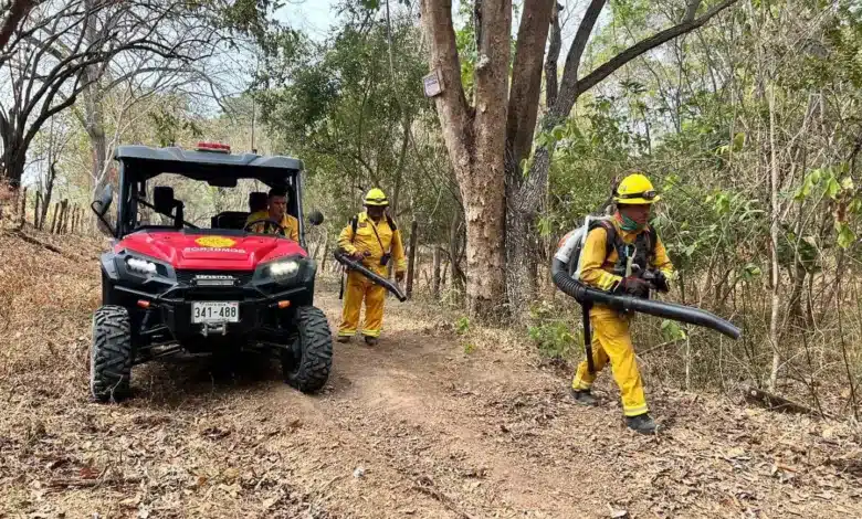 Incendio forestal en Isla Chira.