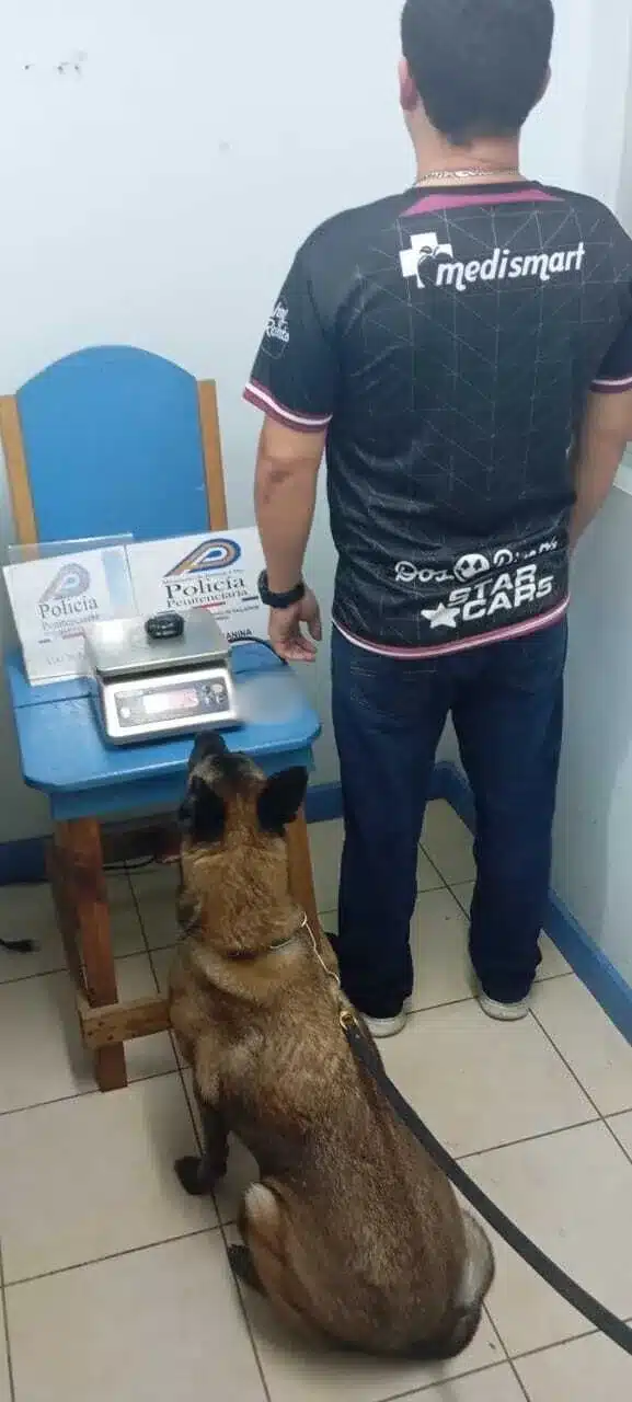 Tenido 