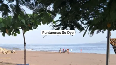Persona fallecida en la playa.