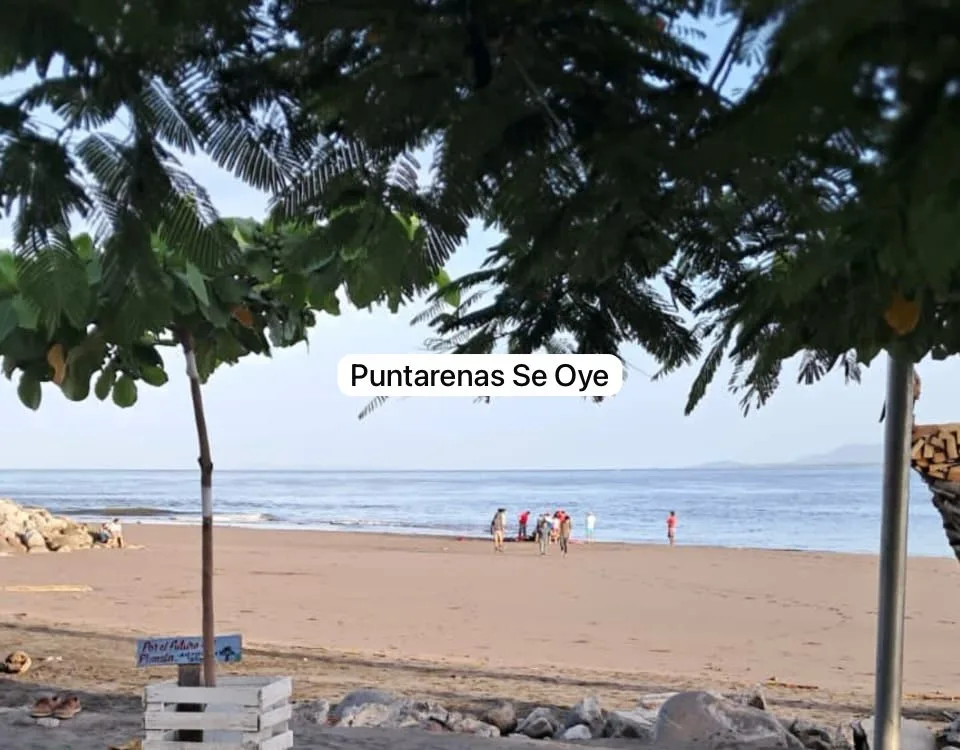 Persona fallecida en la playa.