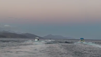Pescadores deportivos y turísticos se dirigen a realizar actividades de monitoreo de poblaciones de especies en la Cruz de Guanacaste. Créditos: Aurora Camacho y Allan Barboza/Cortesía FECOP.
